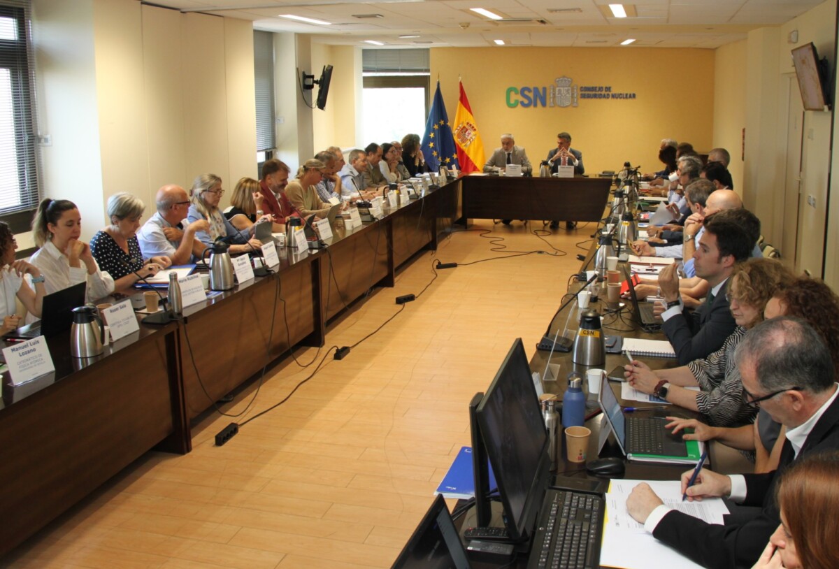 2025-06-12 REUNIÓN COMITÉ ASESOR.JPG