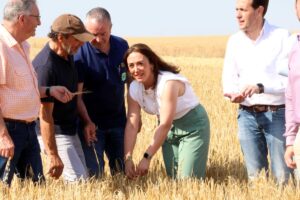 20250704+DATOS+COSECHA+04