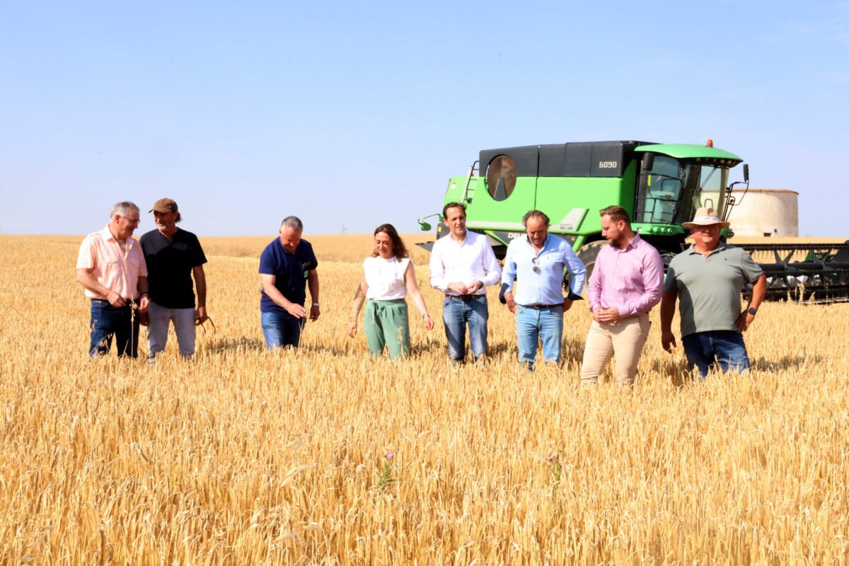 20250704+DATOS+COSECHA+05