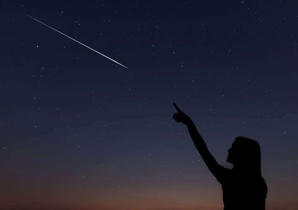 311647072_600088738471253_796238918593388376_n