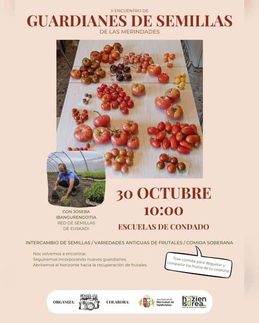 311892485_604356914711102_832454630649668975_n