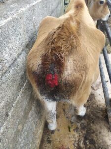 312262542_599909215155872_5319333451451151182_n