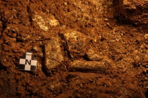 34A0A720-989D-1E9A-AB0119874B0C5CB0