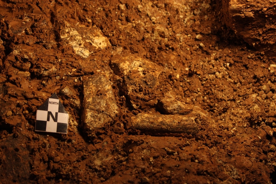 34A0A720-989D-1E9A-AB0119874B0C5CB0