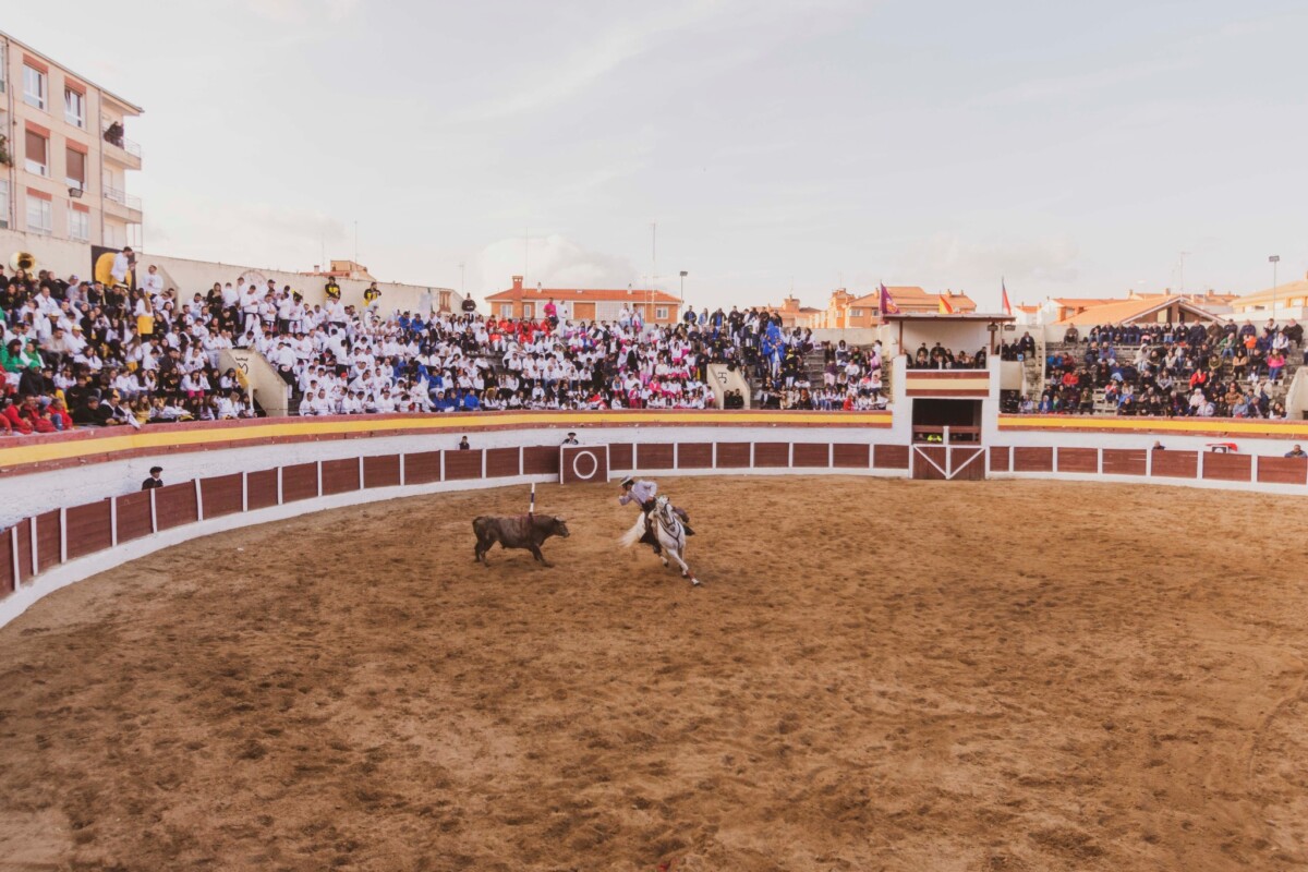 486156046_1221477082999079_8546639148436031278_n