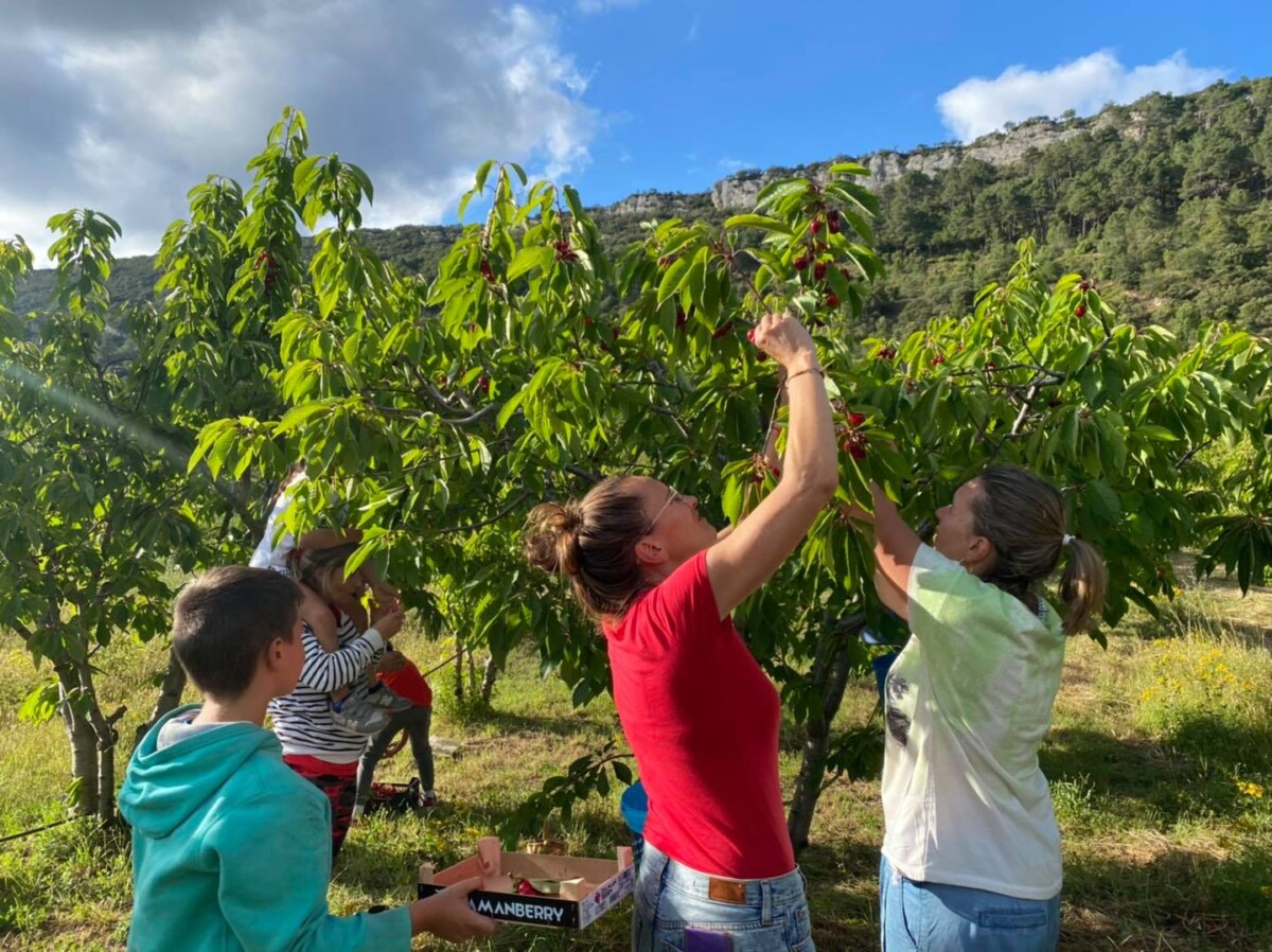 486952666_1224790529334401_2050643684136284084_n