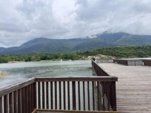 498306499_1263941072086013_5911570024499262663_n