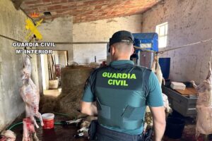 506805889_1290488356097951_8347186084603231364_n