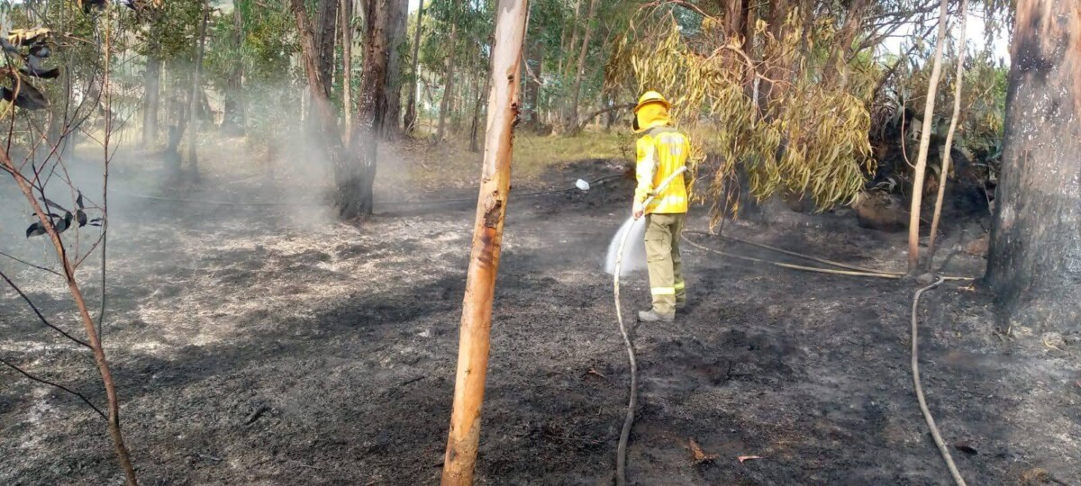 536270079_1370124568454630_938631181712459546_n