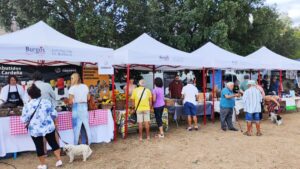 540674325_1355272256286227_6712148753436412277_n