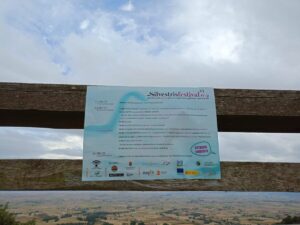 547438515_1547820109888093_5220369418037934756_n