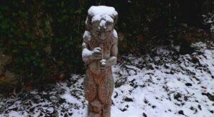 550140542_1654720185898465_6211161508717721595_n