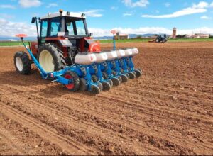 561498689_1135635378735556_8013968009367539619_n