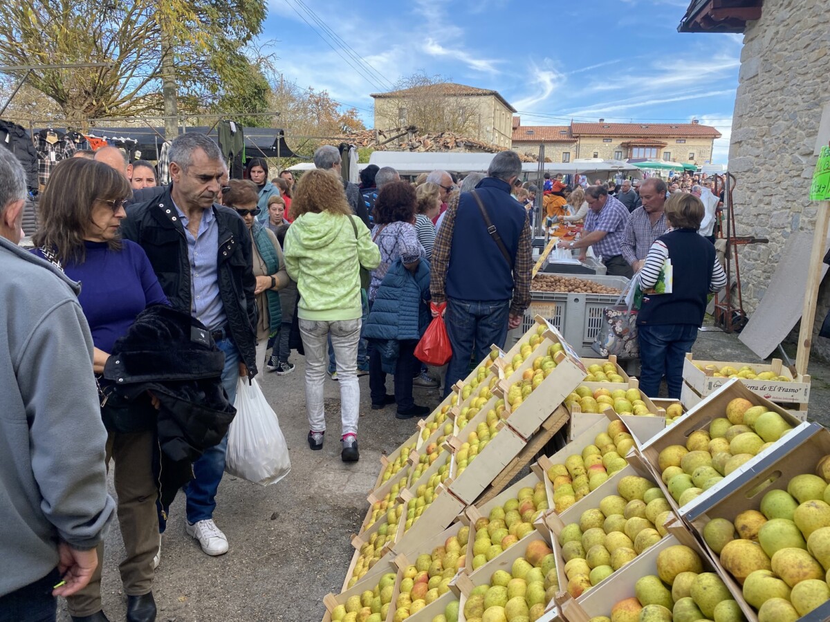 580113354_1419761723170613_1099663405130278765_n