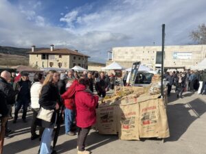 582931541_1422649679548484_5996200309626925032_n