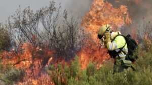 Incendio en Puercas (Zamora) en la Sierra de la Culebra