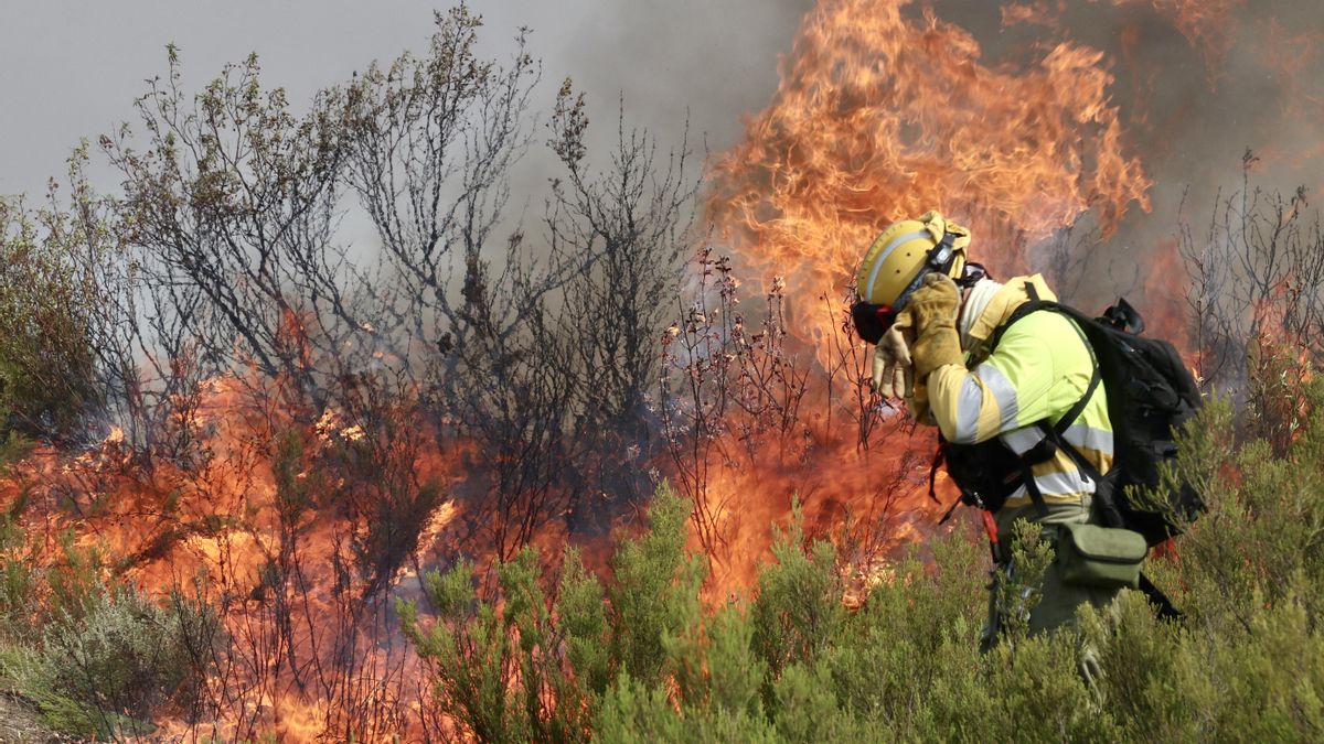 Incendio en Puercas (Zamora) en la Sierra de la Culebra