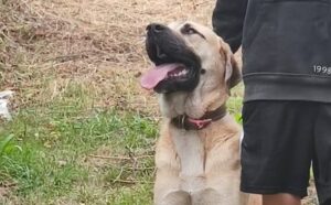 617389513_1312692187570233_1989643754578418109_n