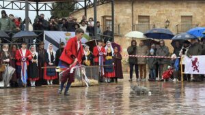 626062400_1488690946277690_1181389398195045613_n