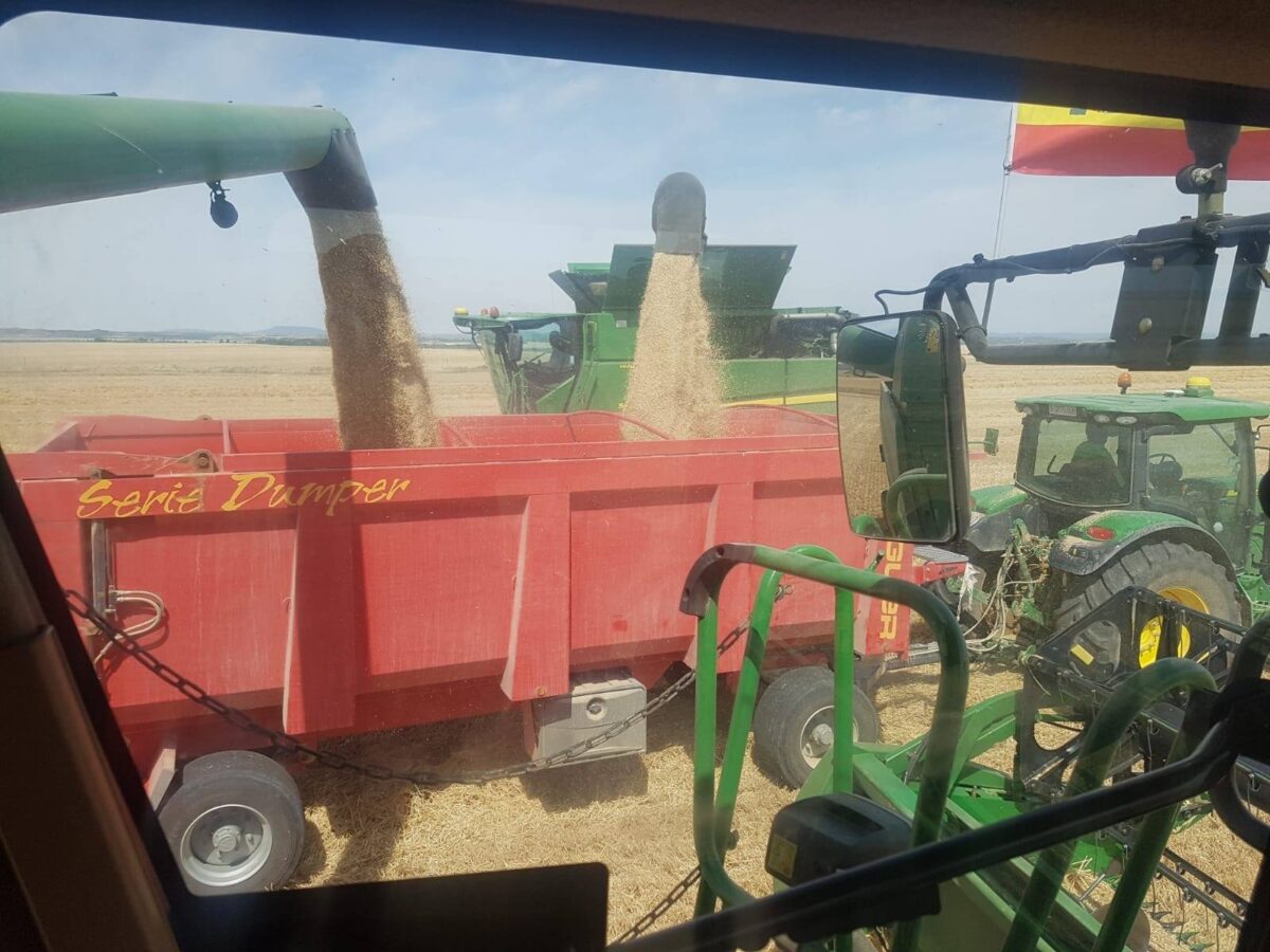 65314648_2807386852625087_3319089407100715008_n