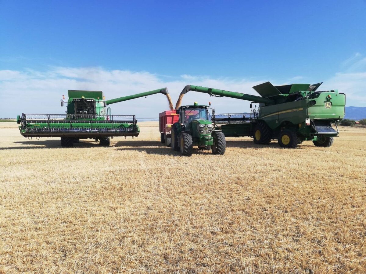 65707752_2807386602625112_2971965047816847360_n