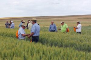 EnsayoMamblas (Ávila)