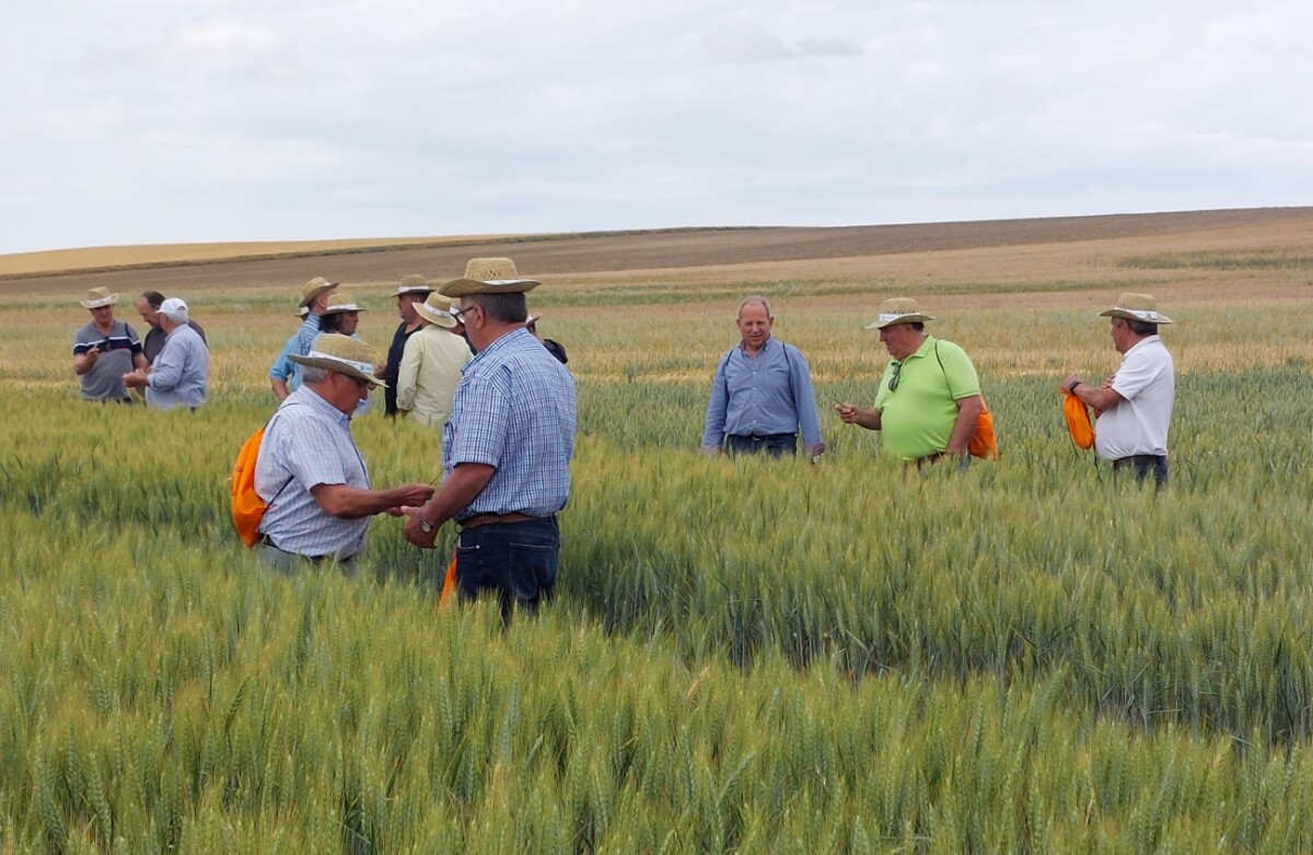 EnsayoMamblas (Ávila)