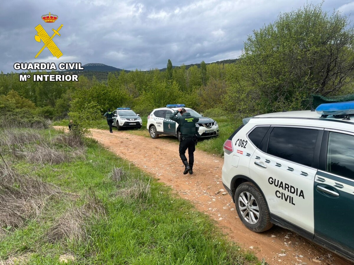 Imagen de WhatsApp 2025-07-10 a las 12.46.15_416ea79d