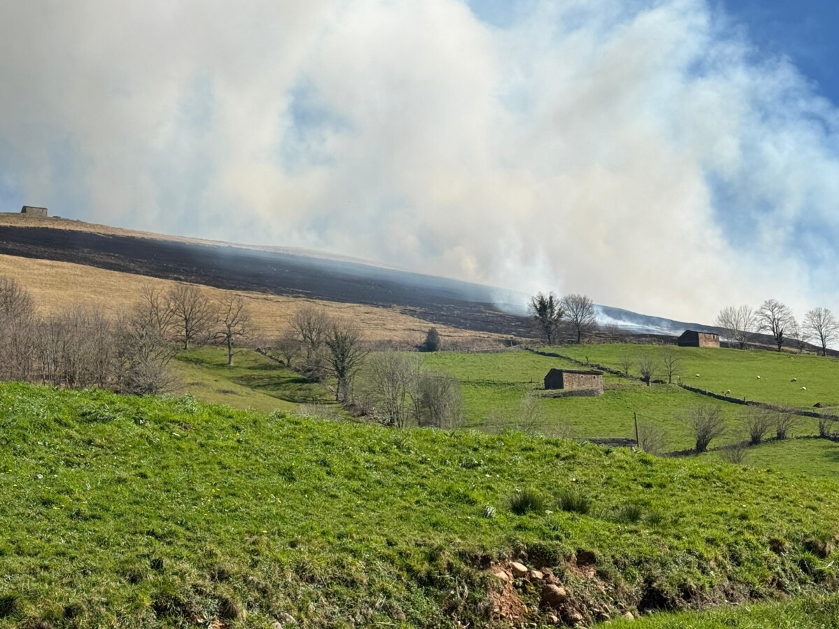 Imagen de WhatsApp 2025-07-16 a las 14.23.55_eb69744f