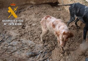 Imagen de WhatsApp 2025-07-17 a las 08.20.24_38e11d6d