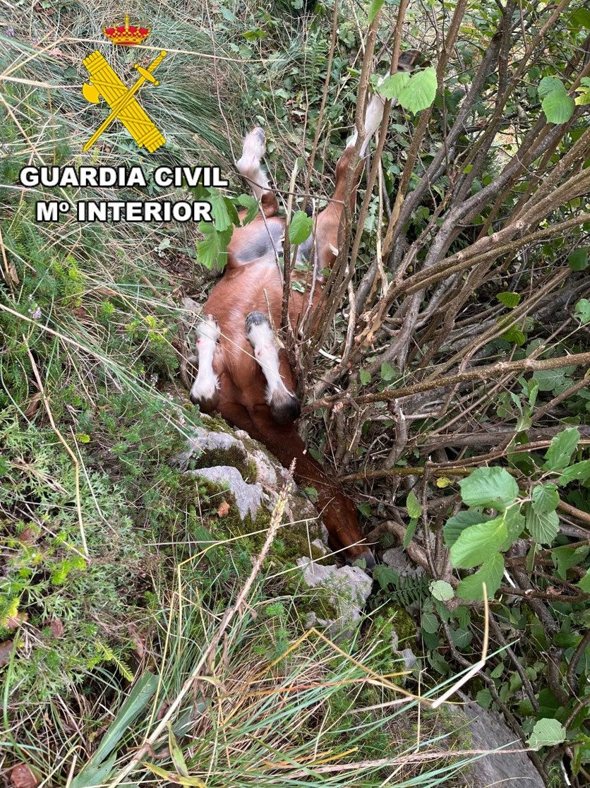 Imagen de WhatsApp 2025-09-04 a las 14.08.28_1b500d8e