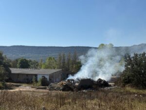 Imagen de WhatsApp 2025-09-18 a las 12.53.17_fe9a3de7