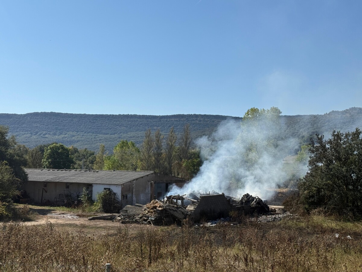 Imagen de WhatsApp 2025-09-18 a las 12.53.17_fe9a3de7