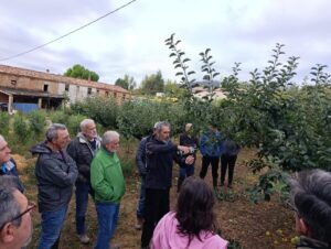 Imagen de WhatsApp 2025-09-22 a las 12.56.50_51729a69