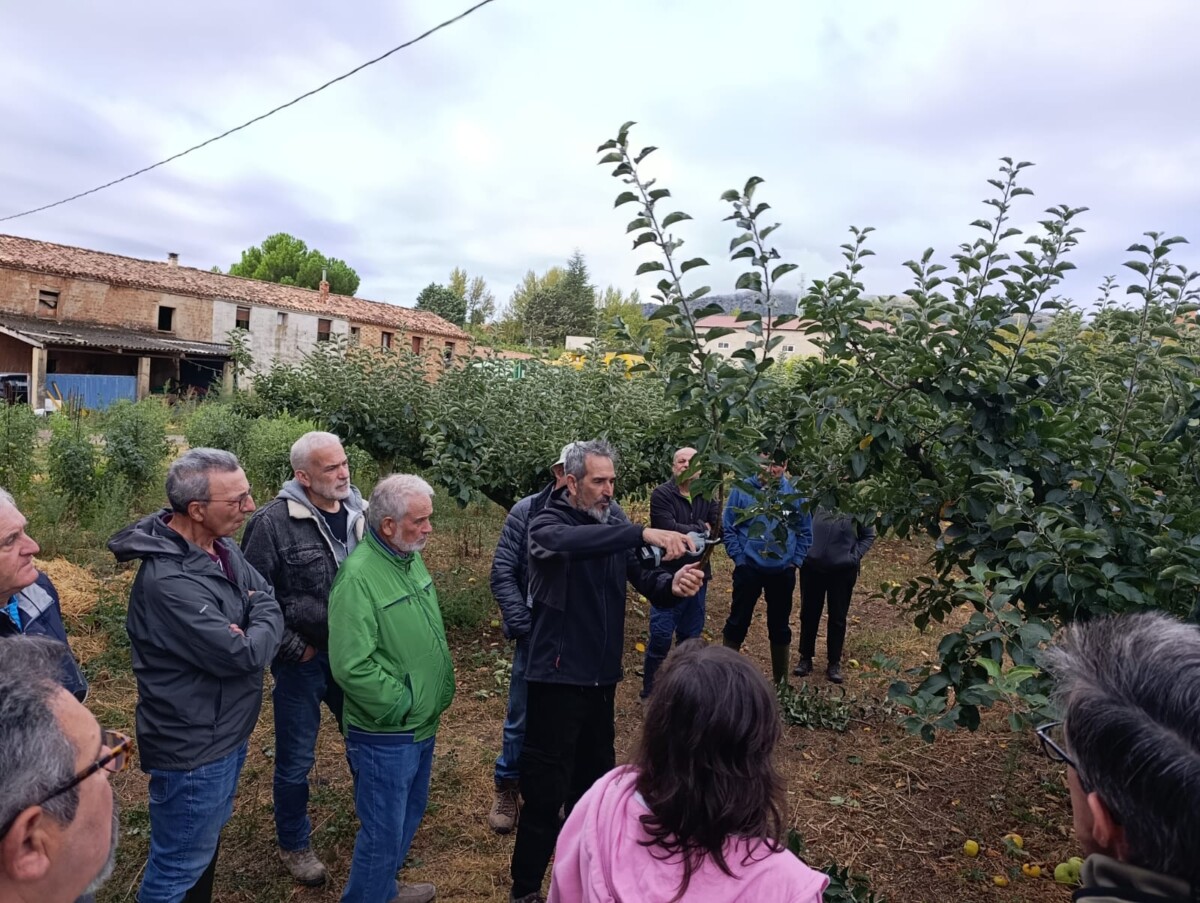 Imagen de WhatsApp 2025-09-22 a las 12.56.50_51729a69