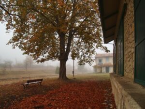 Imagen de WhatsApp 2025-10-20 a las 15.32.02_5a0e14ee