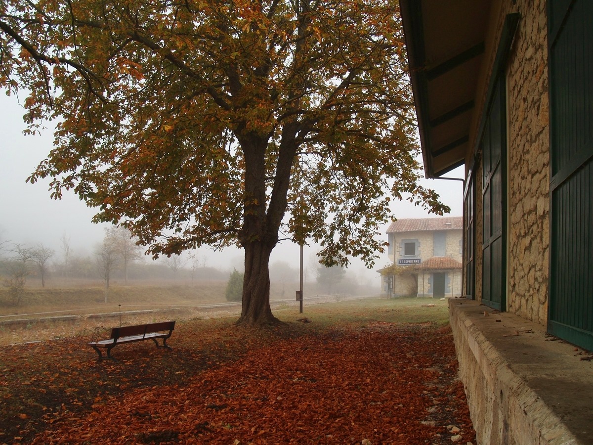 Imagen de WhatsApp 2025-10-20 a las 15.32.02_5a0e14ee