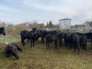 Imagen de WhatsApp 2025-11-04 a las 18.21.01_00d19b1b