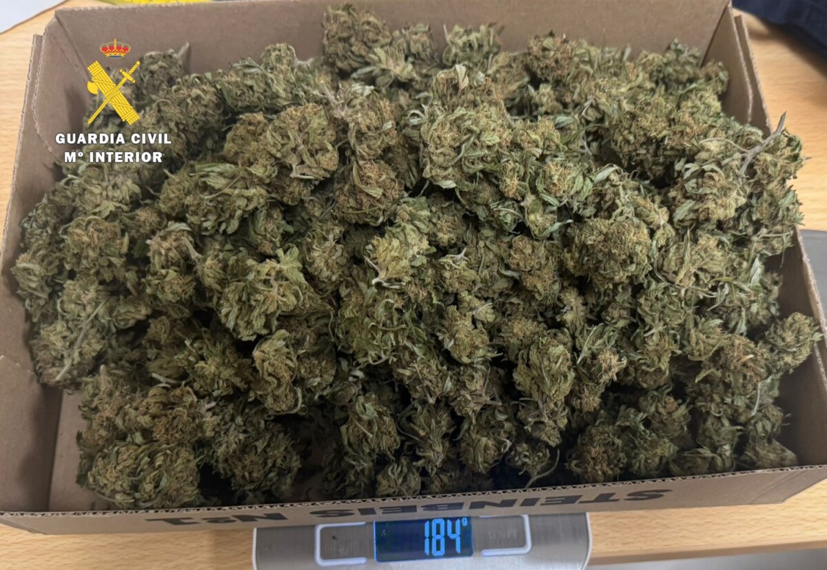 Imagen de WhatsApp 2025-11-18 a las 15.46.35_c92c916b