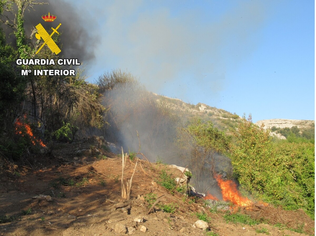 Imagen de WhatsApp 2025-11-20 a las 13.46.26_14bcff2e