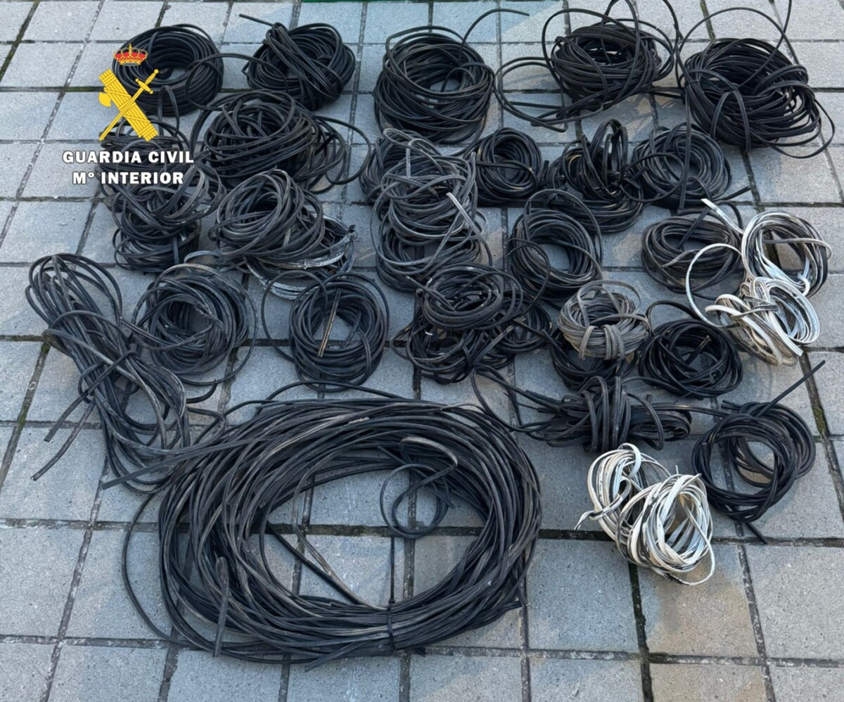 Imagen de WhatsApp 2025-12-15 a las 15.17.17_8a7e9860