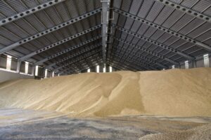 Imagen-de-archivo-de-una-cooperativa-cerealista-de-la-region