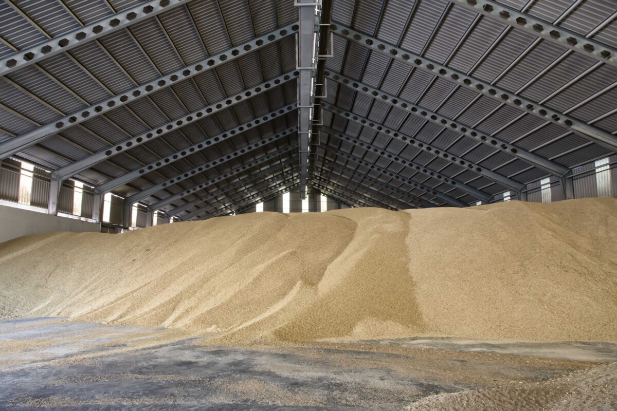 Imagen-de-archivo-de-una-cooperativa-cerealista-de-la-region