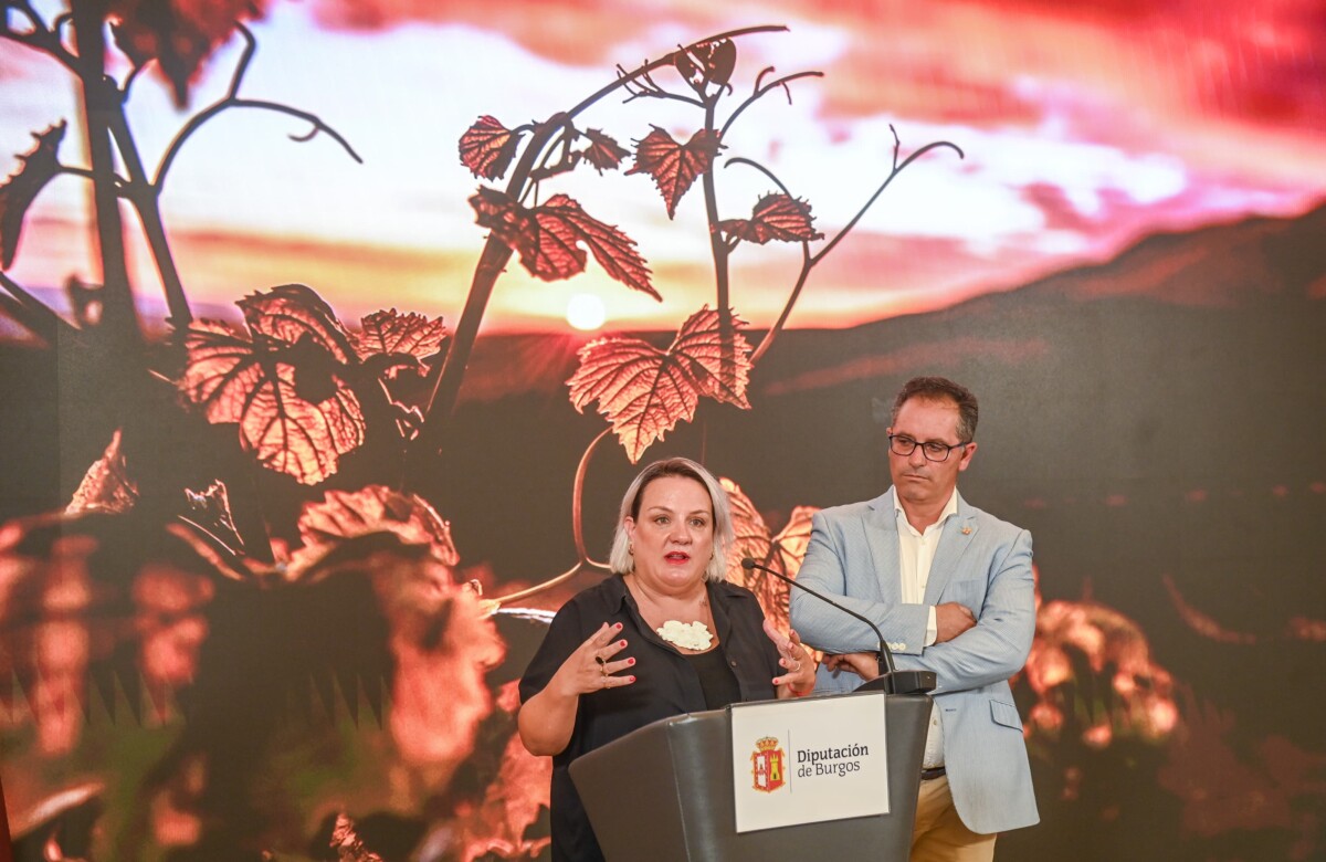 WhatsApp Image 2025-08-04 at 13.02.03