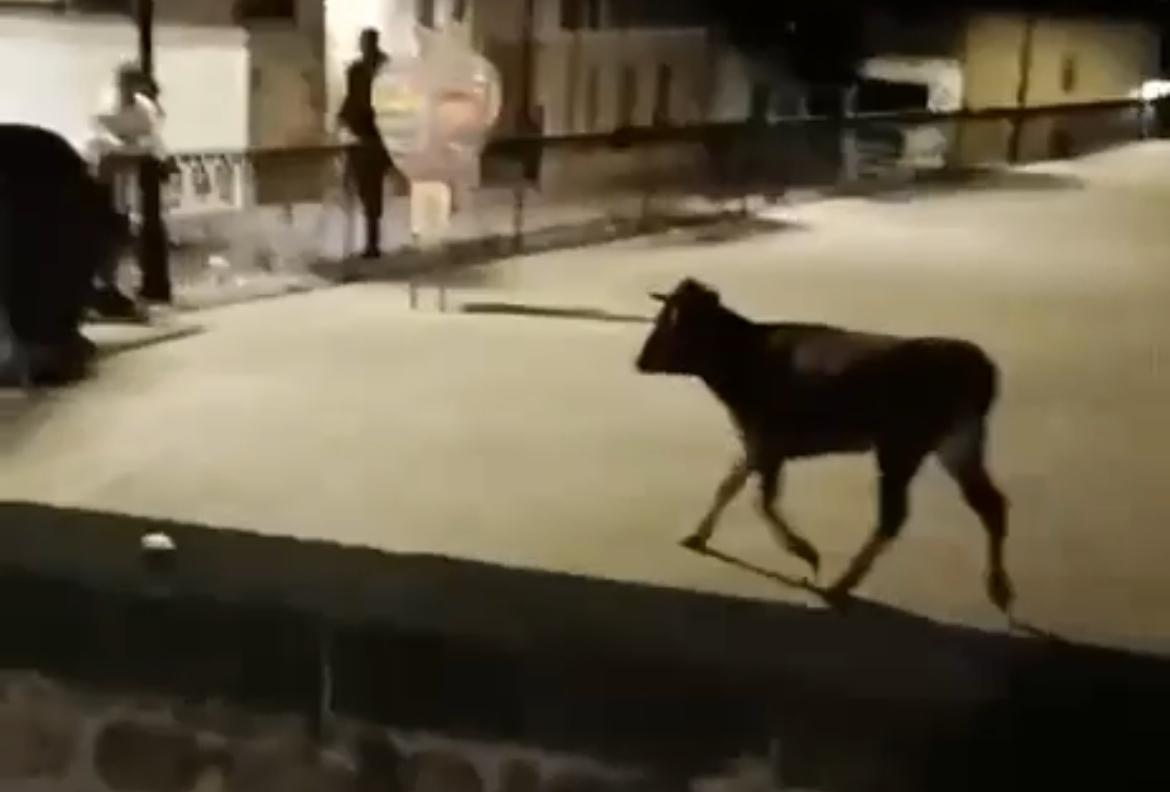 WhatsApp Image 2025-10-07 at 13.53.19