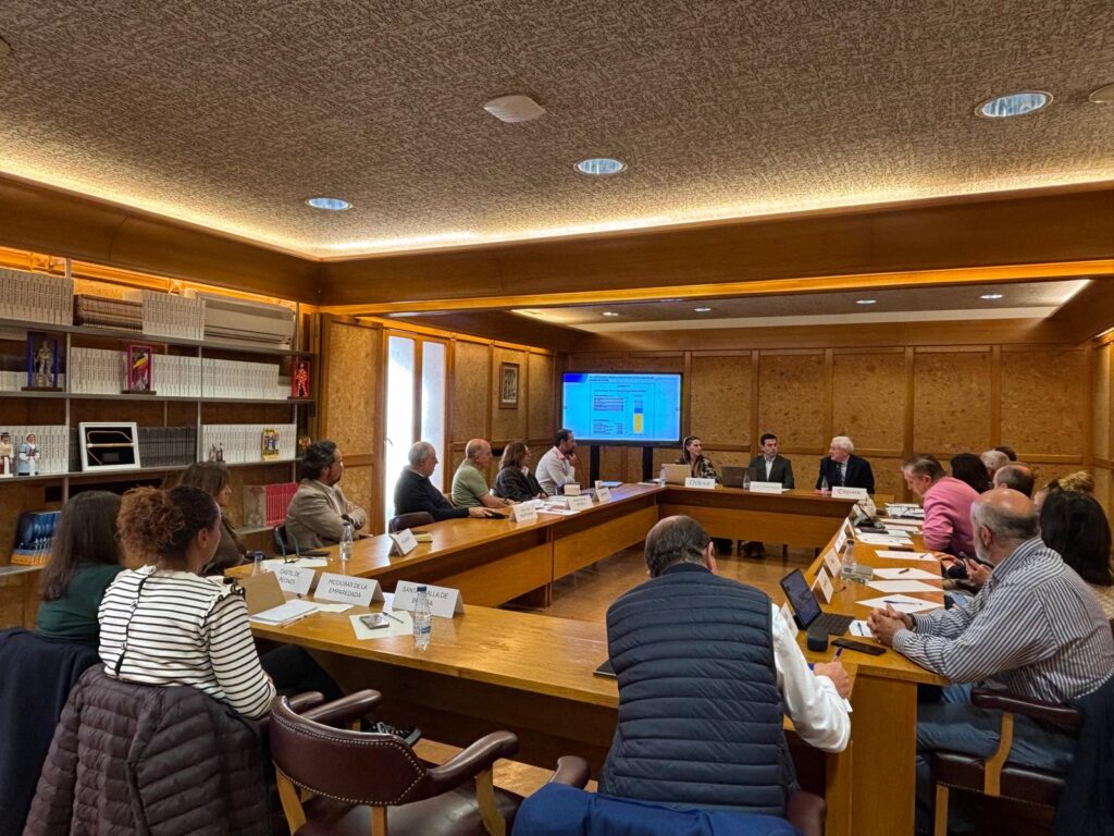 WhatsApp Image 2025-10-20 at 15.17.46