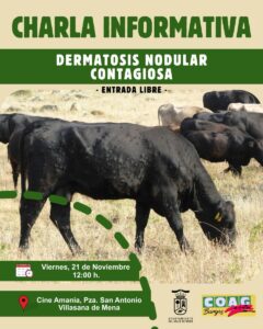 WhatsApp Image 2025-11-13 at 14.31.28