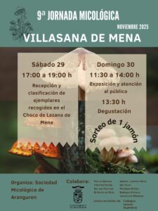 WhatsApp Image 2025-11-28 at 13.49.33