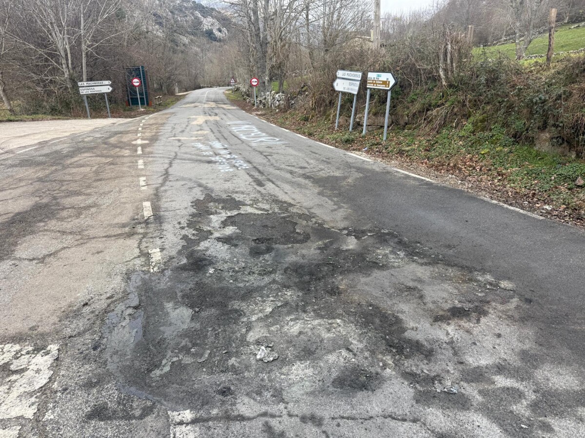 WhatsApp Image 2025-12-30 at 17.58.32