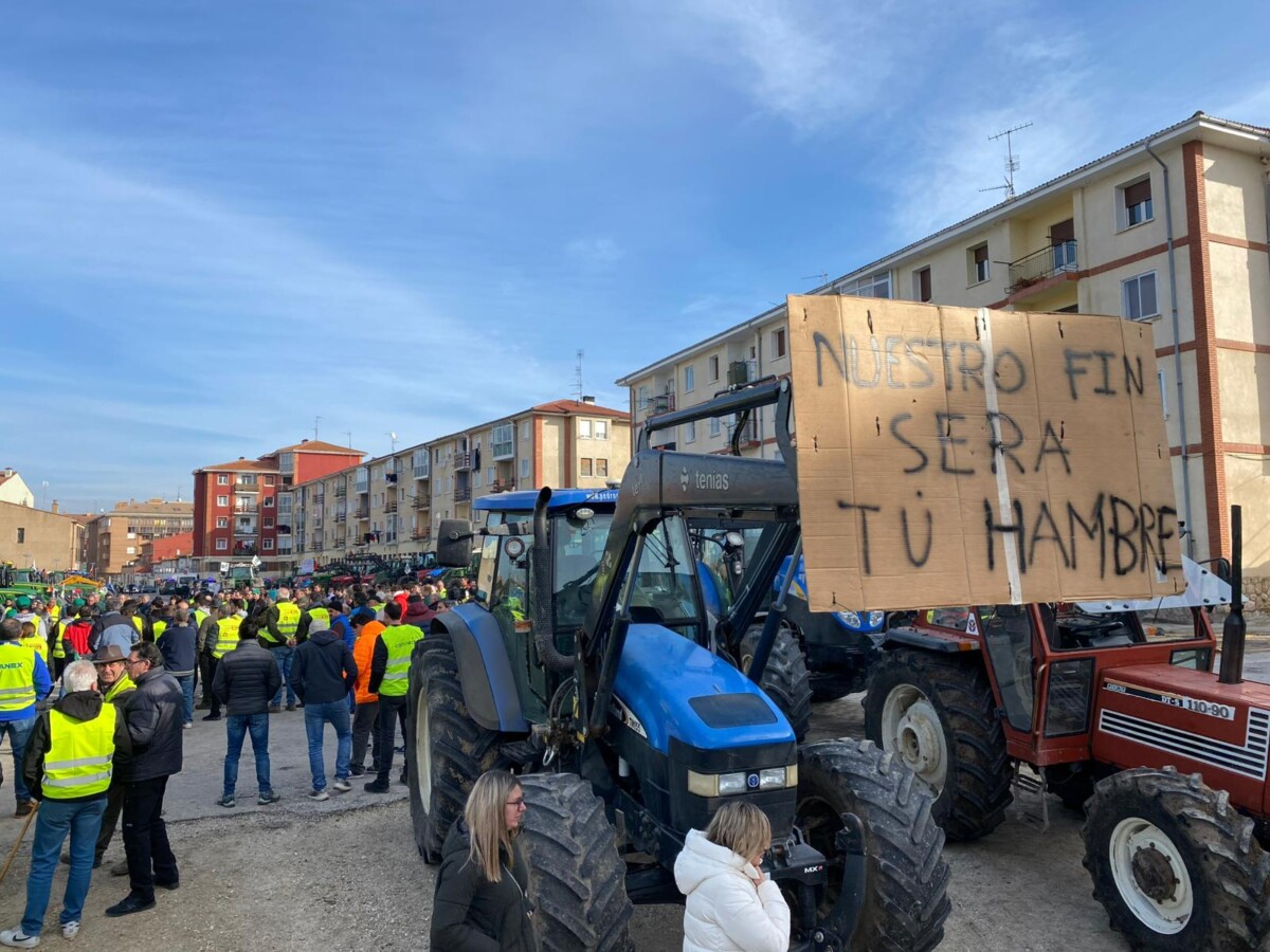 WhatsApp Image 2026-01-15 at 14.20.29